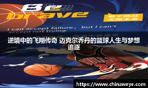 bsports登录入口