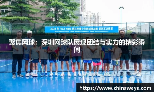 bsports登录入口