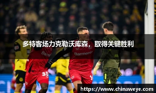 bsports官网入口
