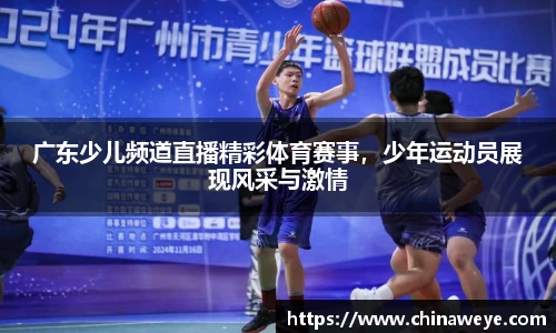 bsports登录入口