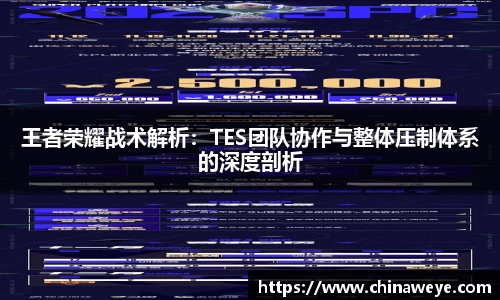 王者荣耀战术解析：TES团队协作与整体压制体系的深度剖析