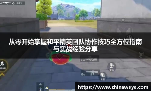 Bsports网页版