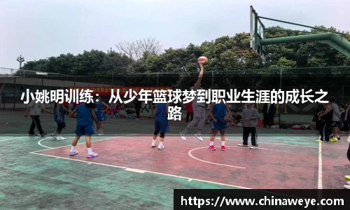bsports登录入口