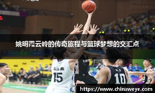 Bsports网页版