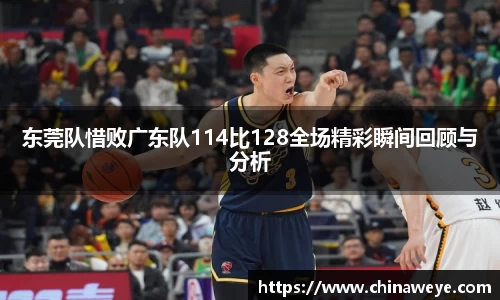 bsports登录入口
