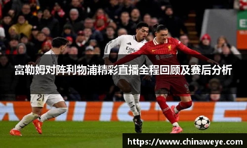 bsports登录入口