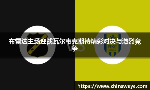 bsports登录入口