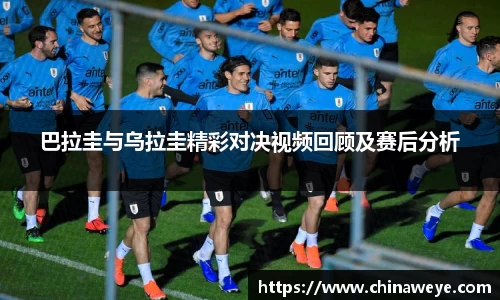 bsports登录入口