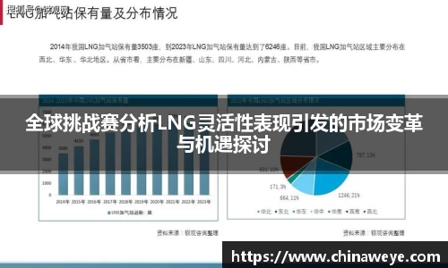 全球挑战赛分析LNG灵活性表现引发的市场变革与机遇探讨