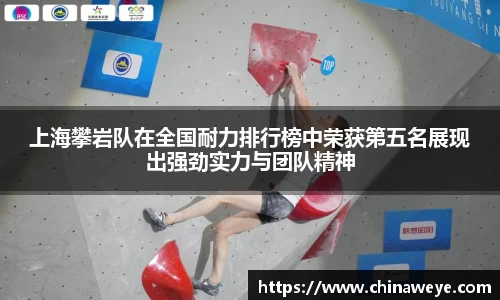 bsports登录入口