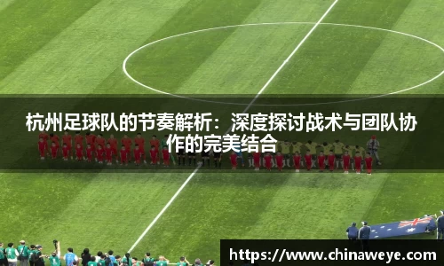 bsports登录入口